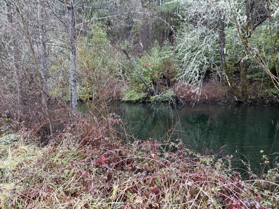 The Illinois River running past the property